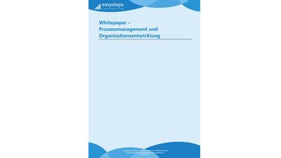 Whitepaper Prozessmanagement und Organisationsentwicklung